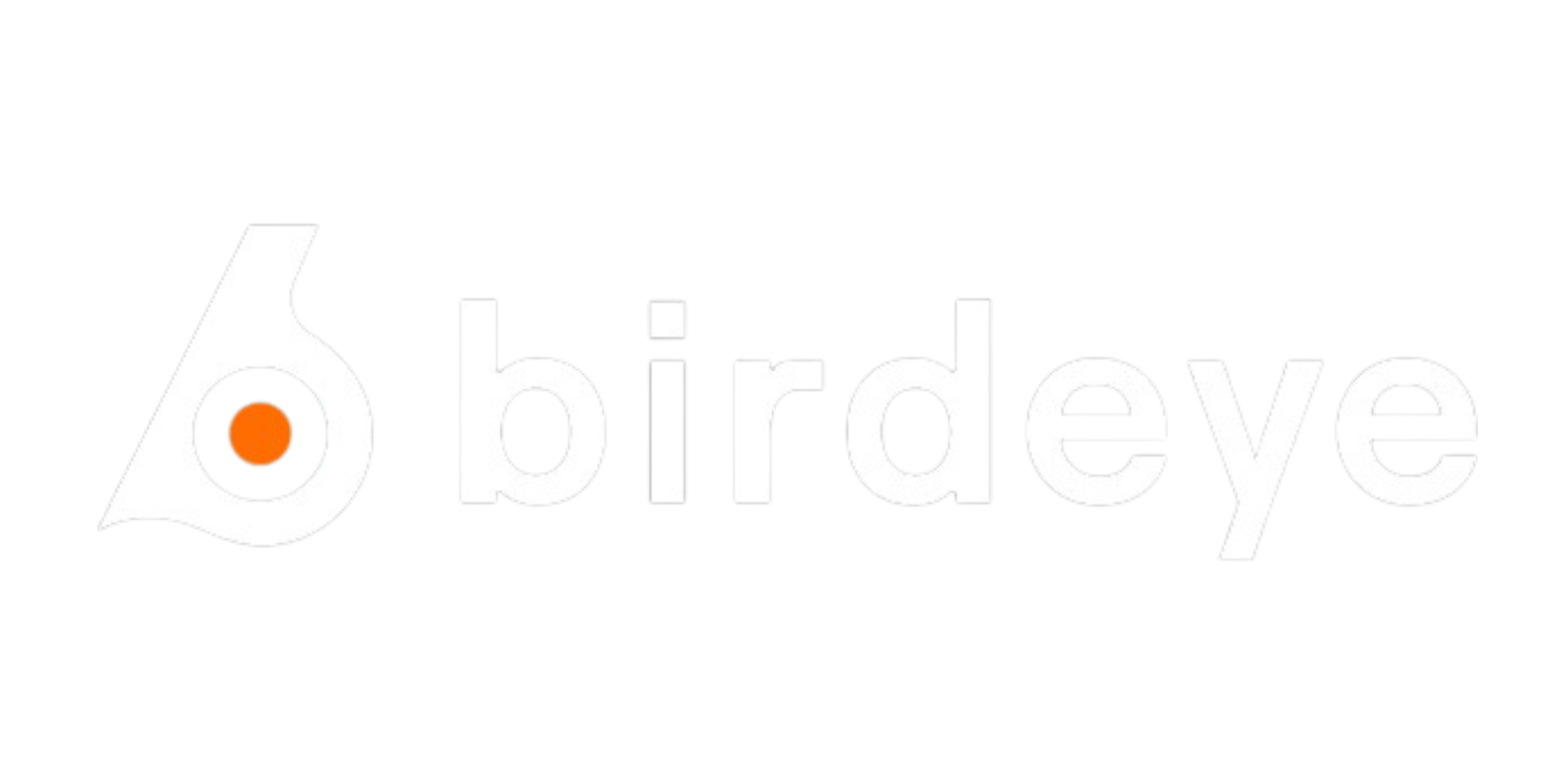 Birdeye Logo Banner